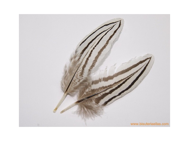 Pluma para tocado 9cm blanco-negro