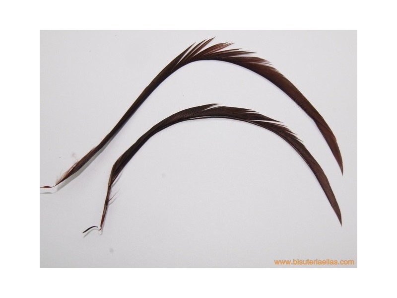 Pluma para tocado 15-18cm marrón